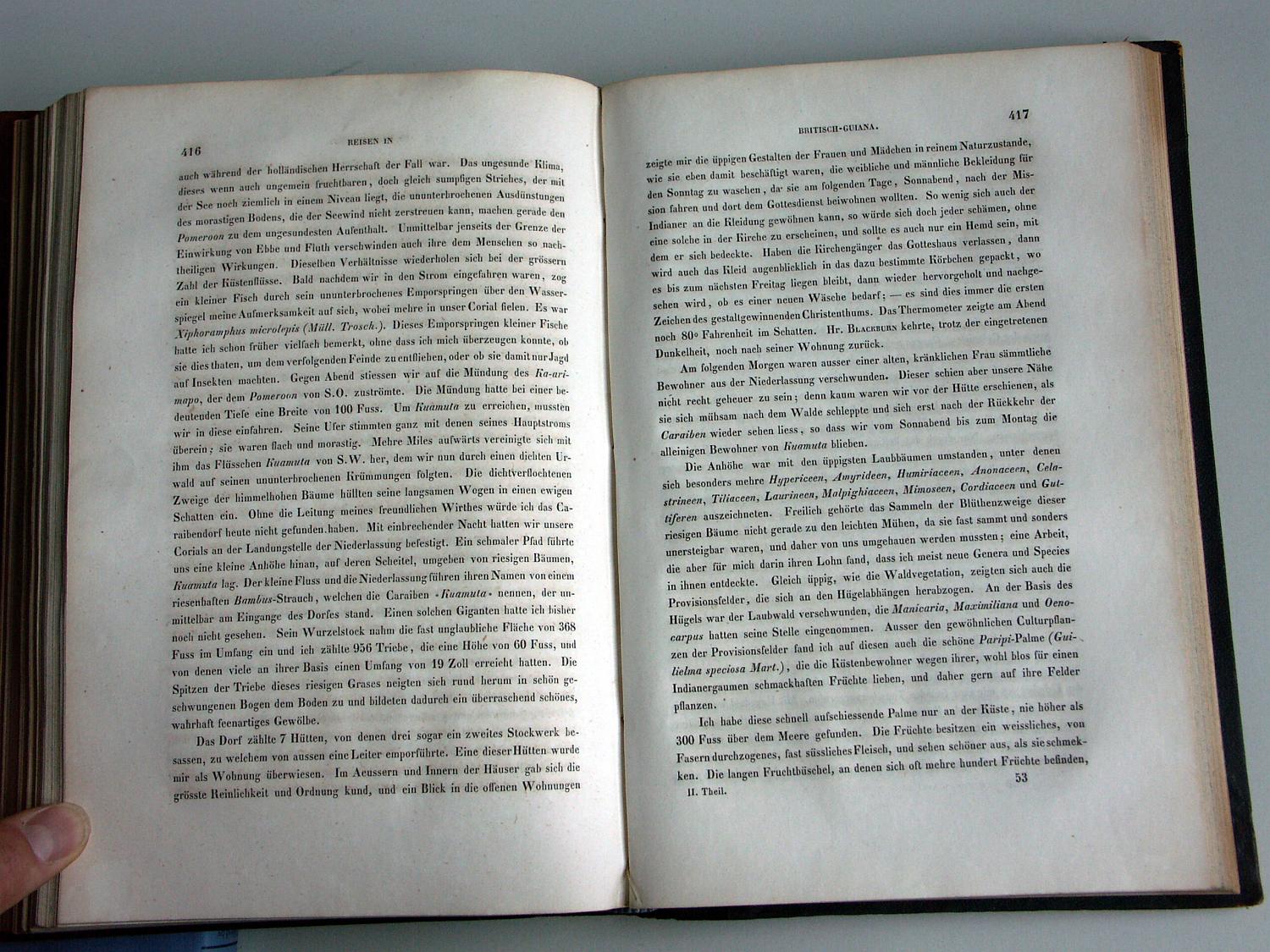 ZZ-RISC48,S.416 Dorf Kuamatu Kariben